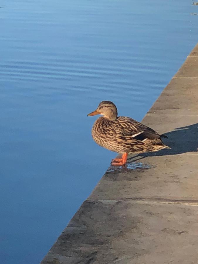 Escapade Le Temps D'une Pause Avec Jardin Et Barbecue Bord Du Canal Du Midi-gare *